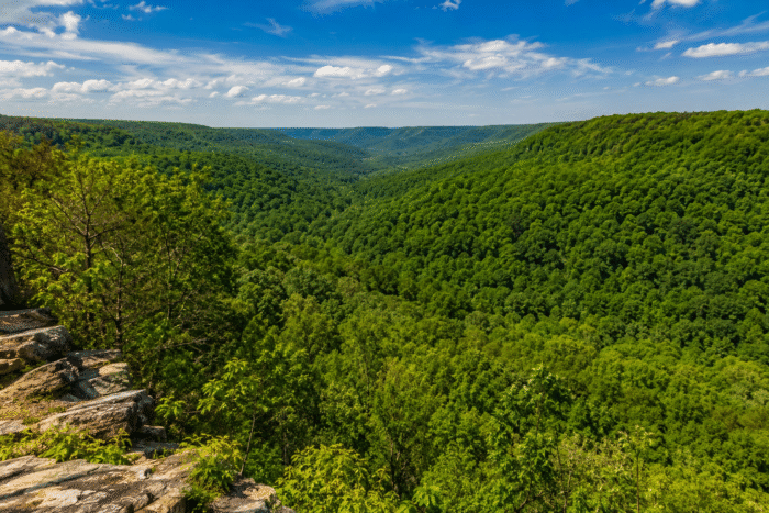 Road trip to Shawnee National Forest Midwest Illinois 