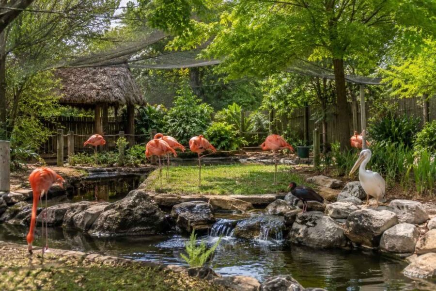 Washington Park Zoo Michigan City exotic animal habitat