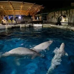 Mystic Aquarium